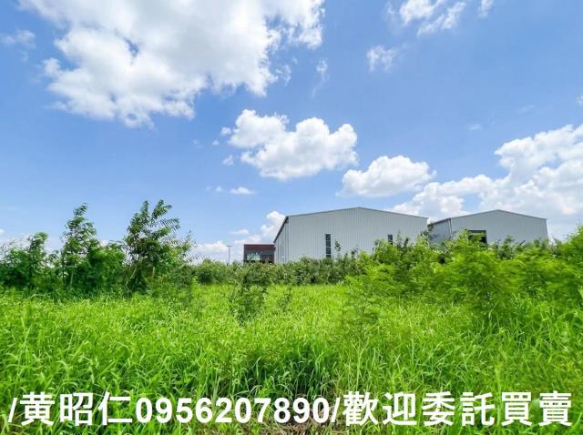 台南農地-3