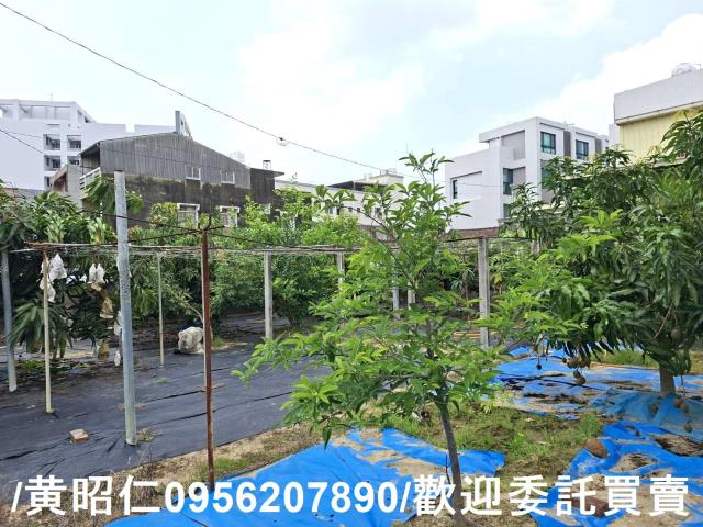 台南善化建地-2