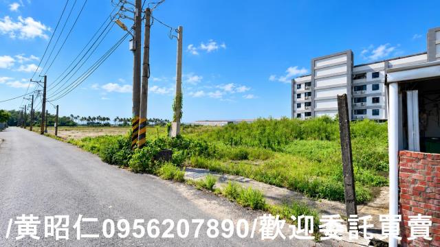台南西港建地-5