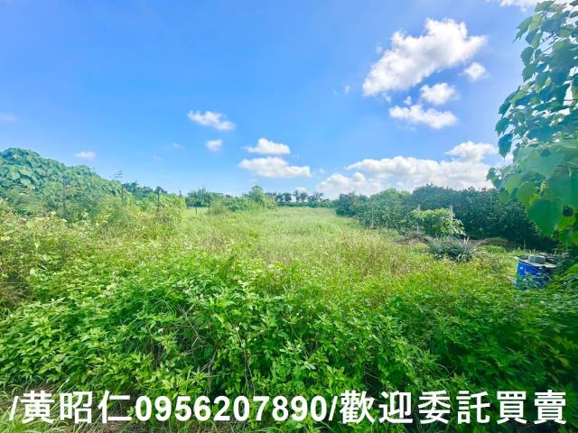台南麻豆農地-2