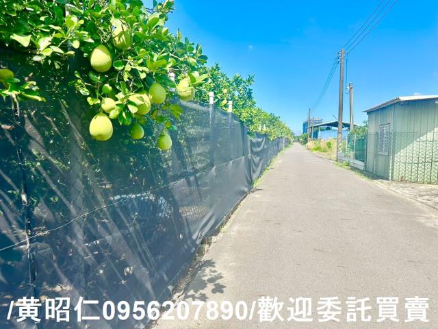 台南麻豆農地-6