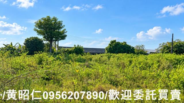 台南七股農地-2