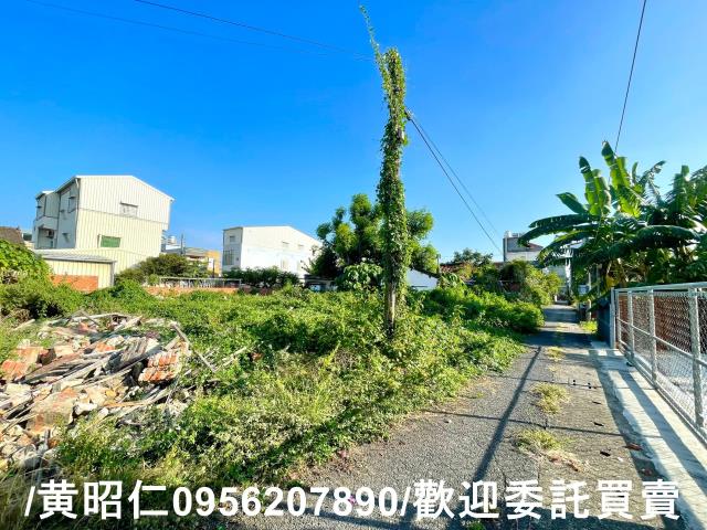 台南善化建地-1