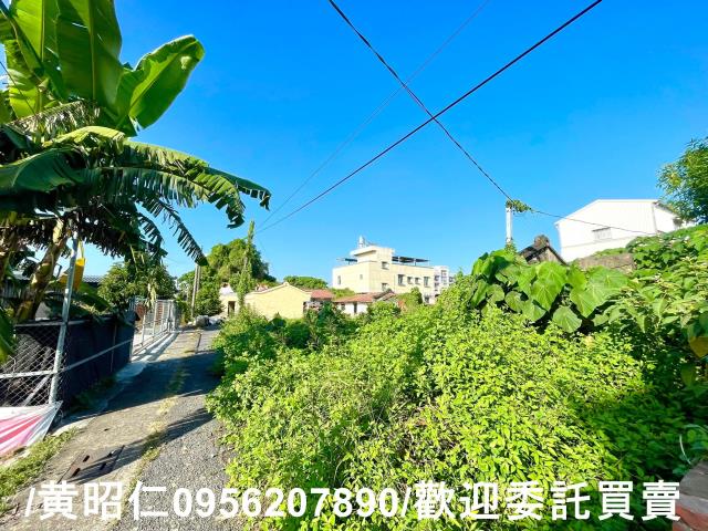 台南善化建地-2