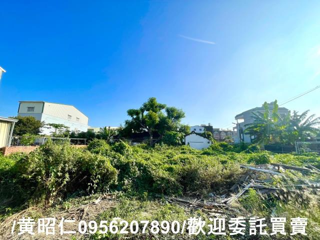 台南善化建地-4