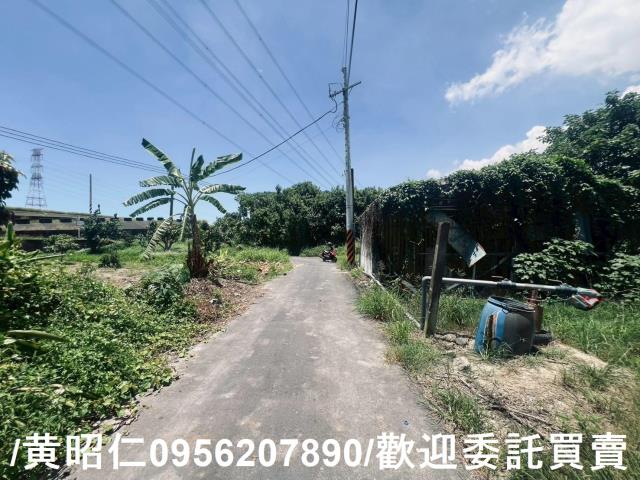 麻豆農地-9