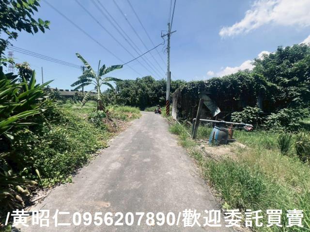 麻豆農地-10