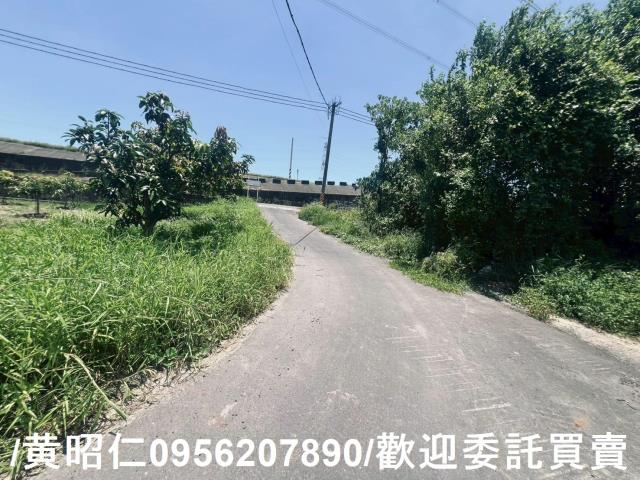 麻豆農地-12