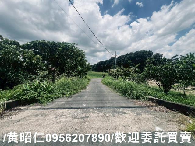 麻豆農地-14