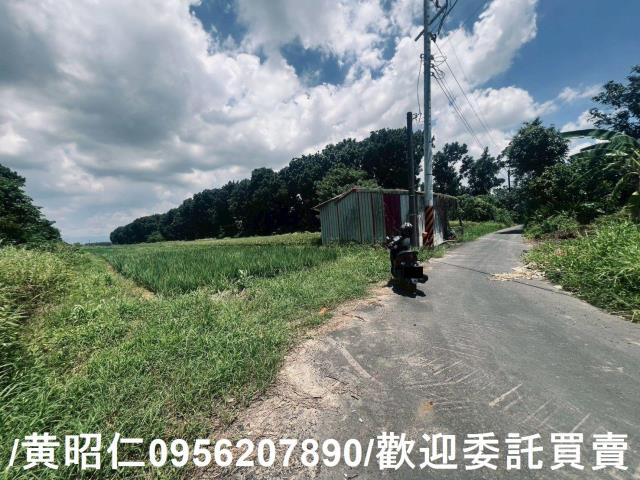 麻豆農地-1