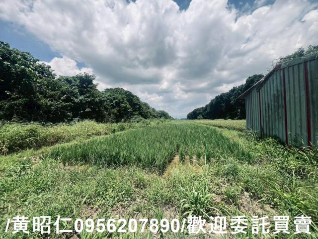 麻豆農地-3