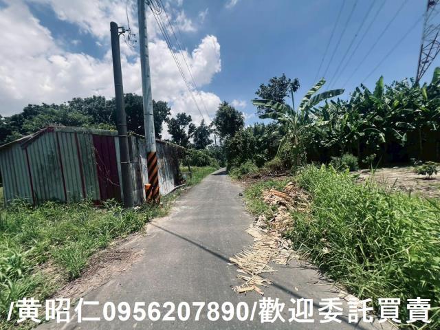麻豆農地-4