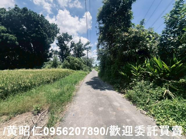 麻豆農地-5
