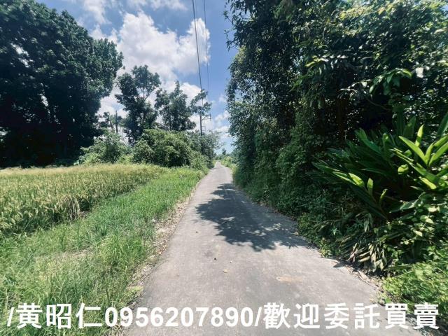 麻豆農地-6