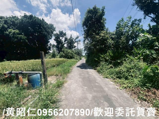 麻豆農地-7