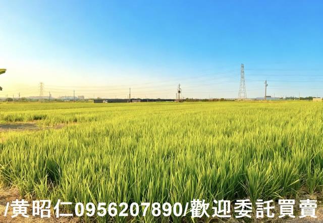 柳營農地-2