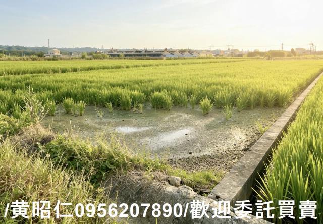 柳營農地-4