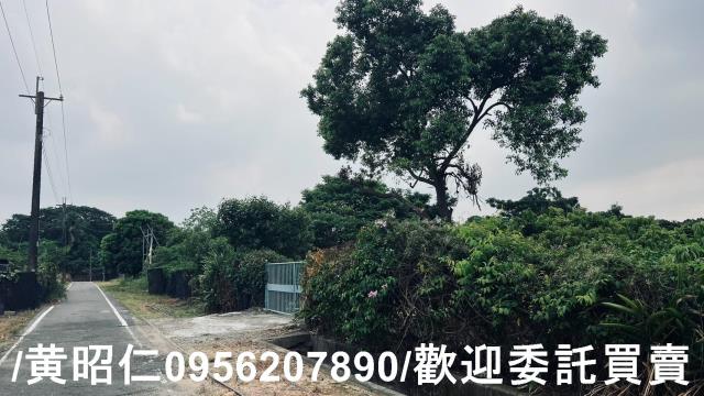 台南歸仁農地-9