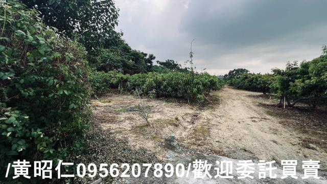 台南歸仁農地-1