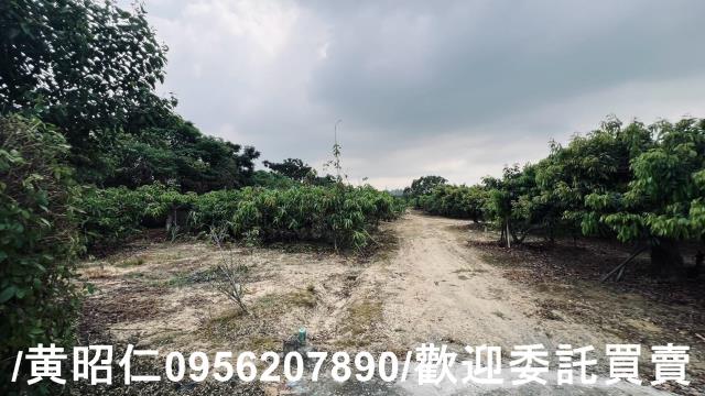 台南歸仁農地-2