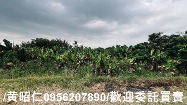 台南歸仁農地-10