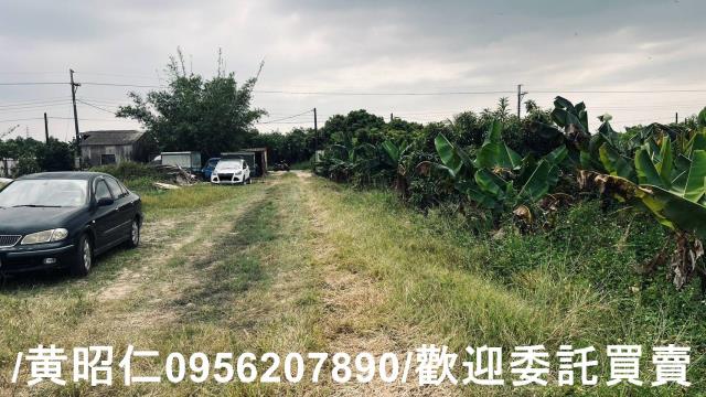 台南歸仁農地-11