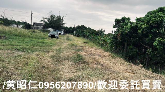 台南歸仁農地-1