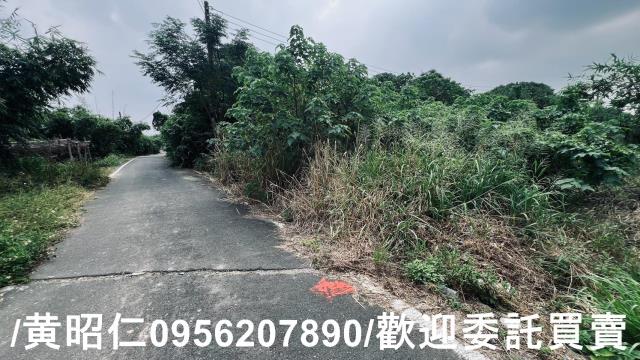 台南歸仁農地-9