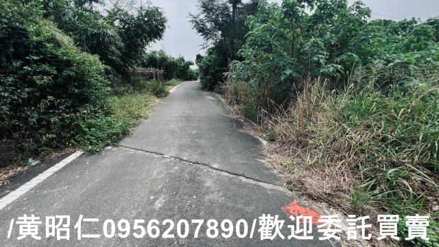 台南歸仁農地-11