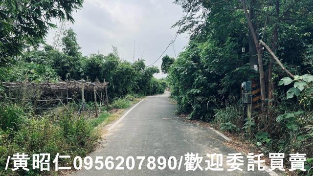 台南歸仁農地-0