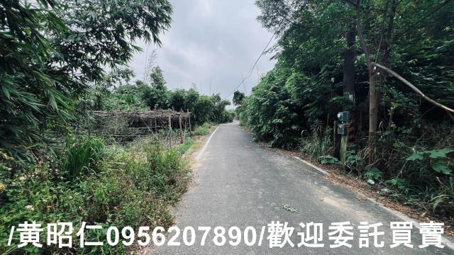 台南歸仁農地-5