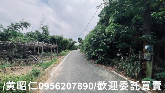 台南歸仁農地-6