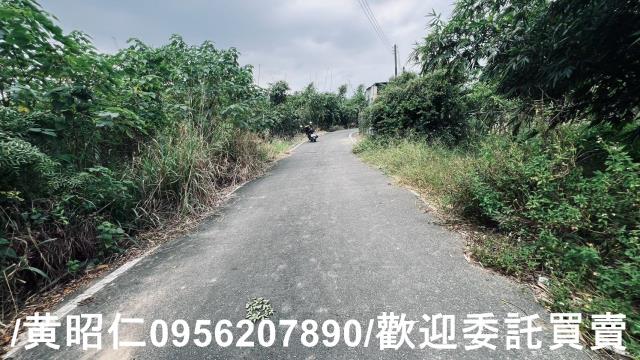 台南歸仁農地-7