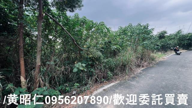 台南歸仁農地-8